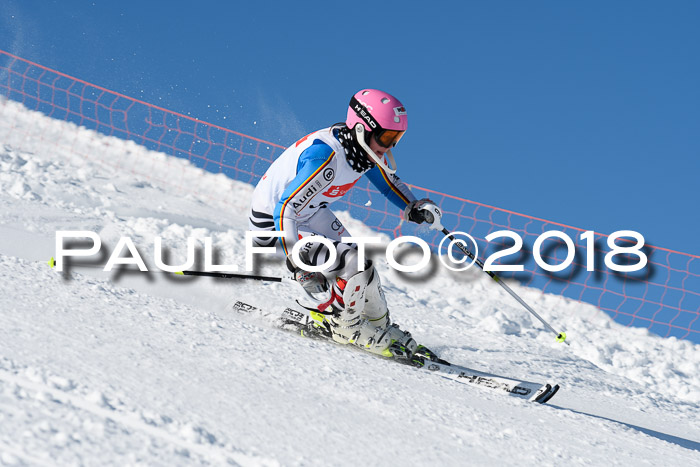 Int. Deutsche Meisterschaft Slalom 25.03.2018