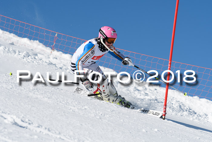 Int. Deutsche Meisterschaft Slalom 25.03.2018