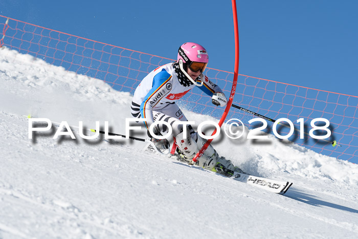 Int. Deutsche Meisterschaft Slalom 25.03.2018