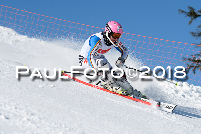 Int. Deutsche Meisterschaft Slalom 25.03.2018