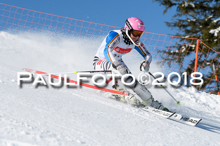 Int. Deutsche Meisterschaft Slalom 25.03.2018