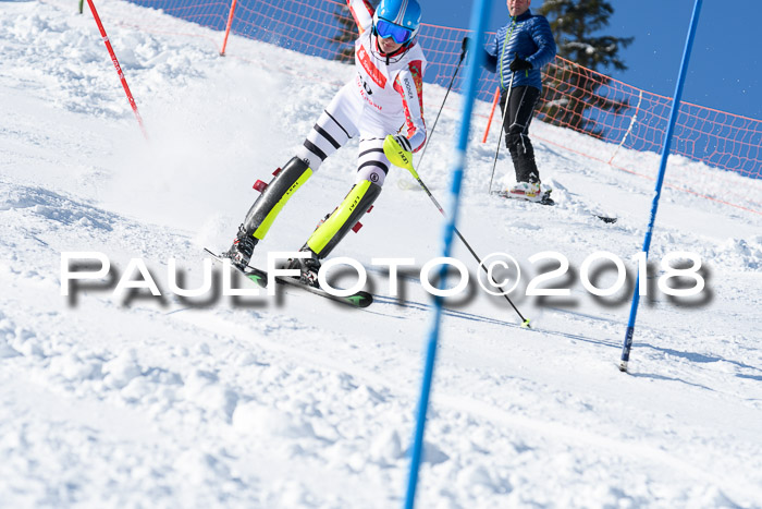 Int. Deutsche Meisterschaft Slalom 25.03.2018