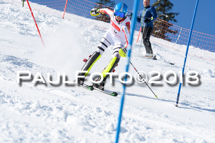 Int. Deutsche Meisterschaft Slalom 25.03.2018