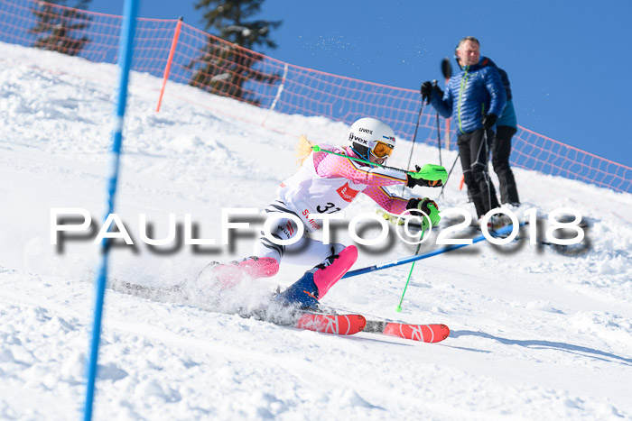 Int. Deutsche Meisterschaft Slalom 25.03.2018