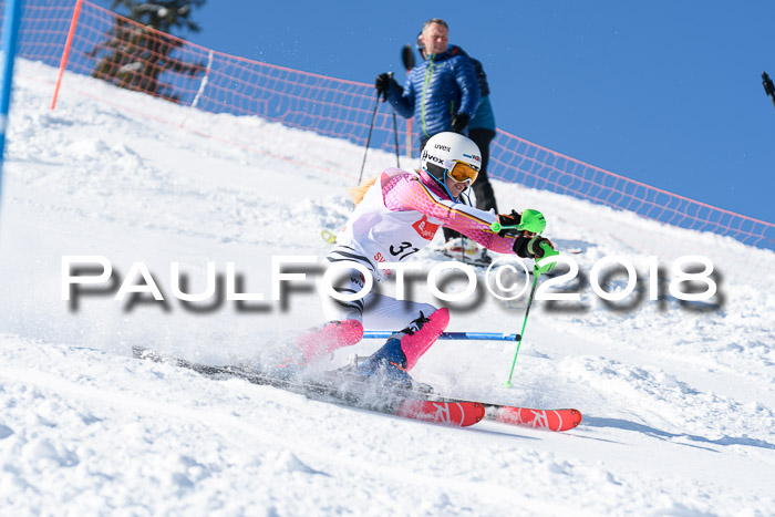 Int. Deutsche Meisterschaft Slalom 25.03.2018