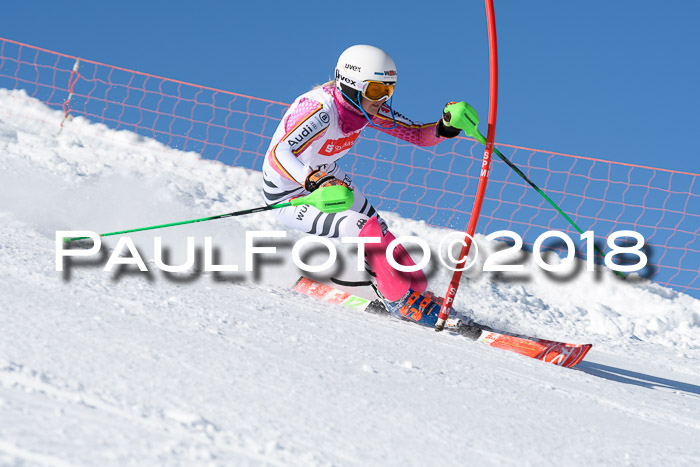 Int. Deutsche Meisterschaft Slalom 25.03.2018