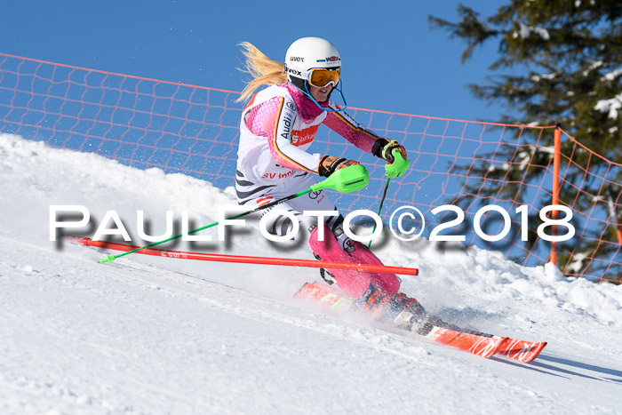 Int. Deutsche Meisterschaft Slalom 25.03.2018