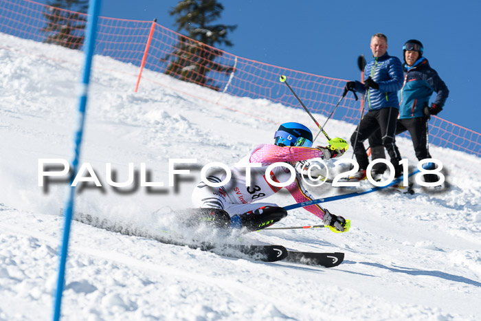 Int. Deutsche Meisterschaft Slalom 25.03.2018