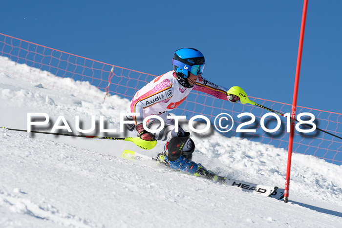 Int. Deutsche Meisterschaft Slalom 25.03.2018