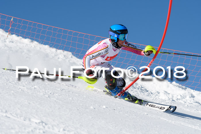 Int. Deutsche Meisterschaft Slalom 25.03.2018