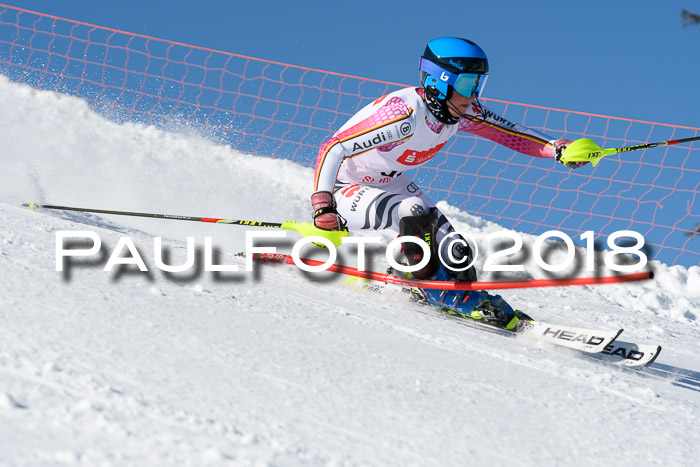 Int. Deutsche Meisterschaft Slalom 25.03.2018