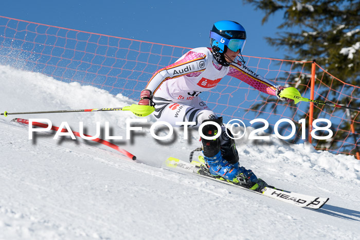 Int. Deutsche Meisterschaft Slalom 25.03.2018