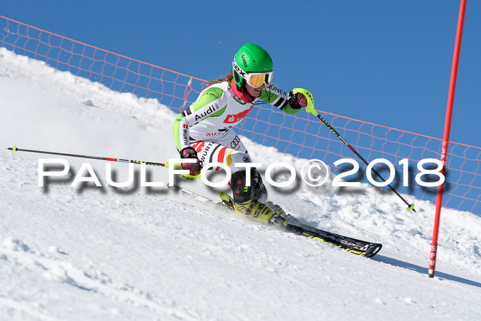 Int. Deutsche Meisterschaft Slalom 25.03.2018