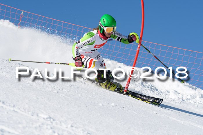 Int. Deutsche Meisterschaft Slalom 25.03.2018