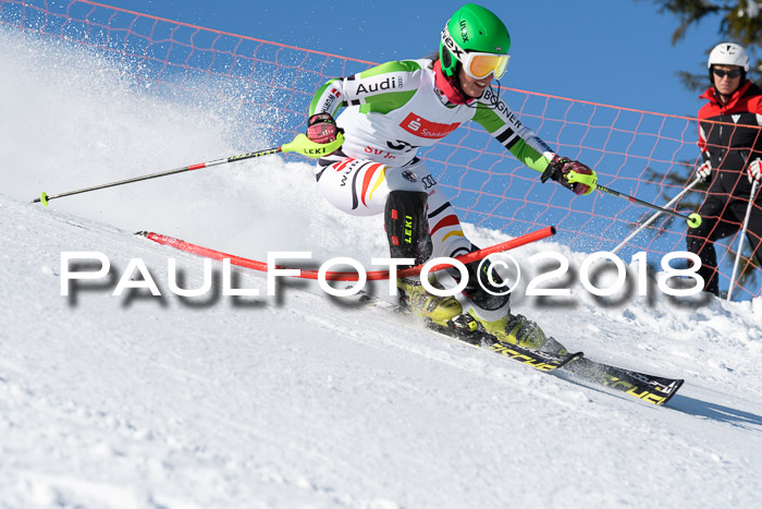 Int. Deutsche Meisterschaft Slalom 25.03.2018