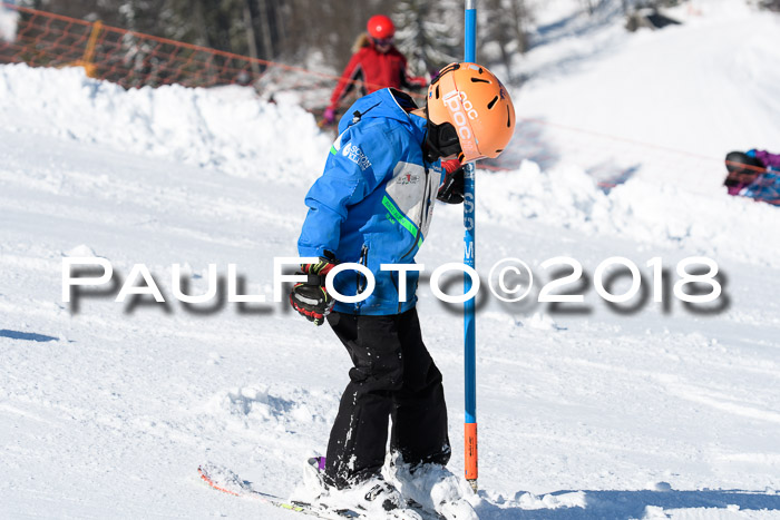 Int. Deutsche Meisterschaft Slalom 25.03.2018