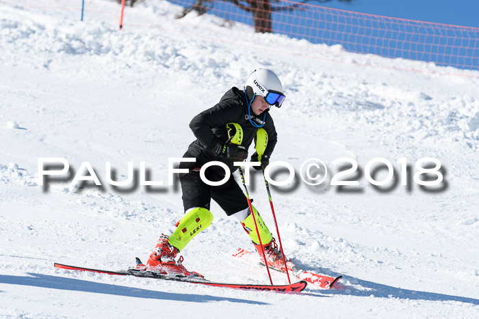 Int. Deutsche Meisterschaft Slalom 25.03.2018