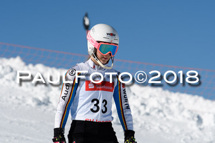 Int. Deutsche Meisterschaft Slalom 25.03.2018
