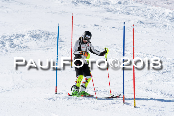 Int. Deutsche Meisterschaft Slalom 25.03.2018