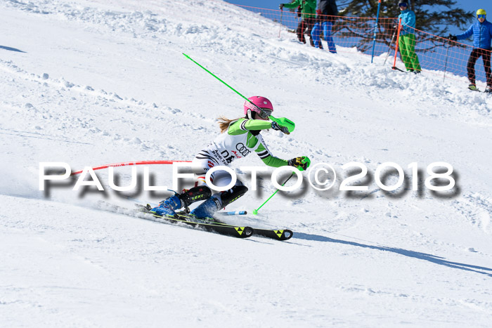Int. Deutsche Meisterschaft Slalom 25.03.2018