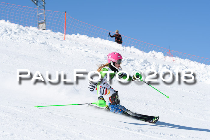 Int. Deutsche Meisterschaft Slalom 25.03.2018