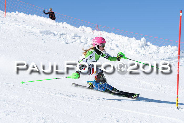 Int. Deutsche Meisterschaft Slalom 25.03.2018