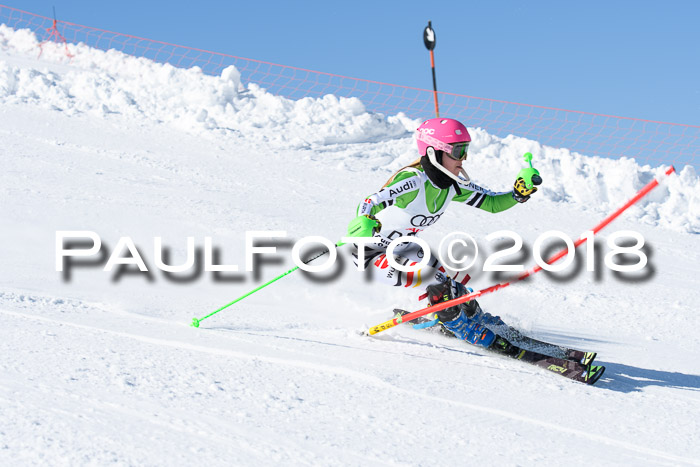 Int. Deutsche Meisterschaft Slalom 25.03.2018