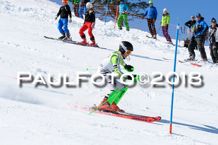 Int. Deutsche Meisterschaft Slalom 25.03.2018