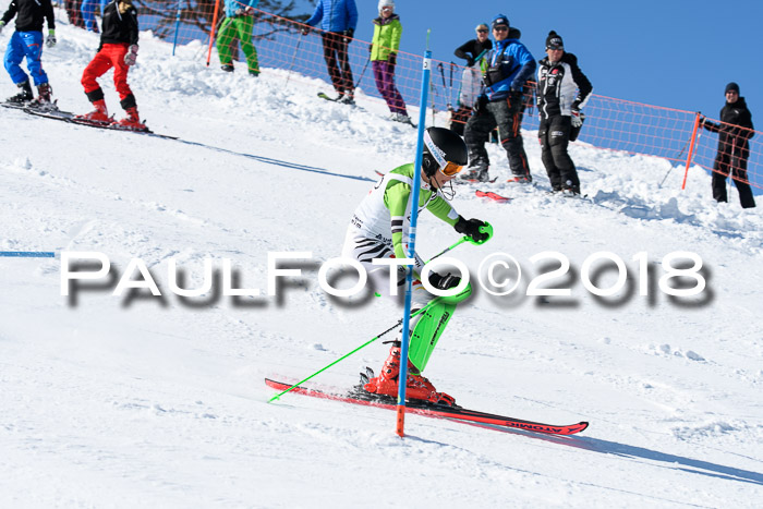 Int. Deutsche Meisterschaft Slalom 25.03.2018