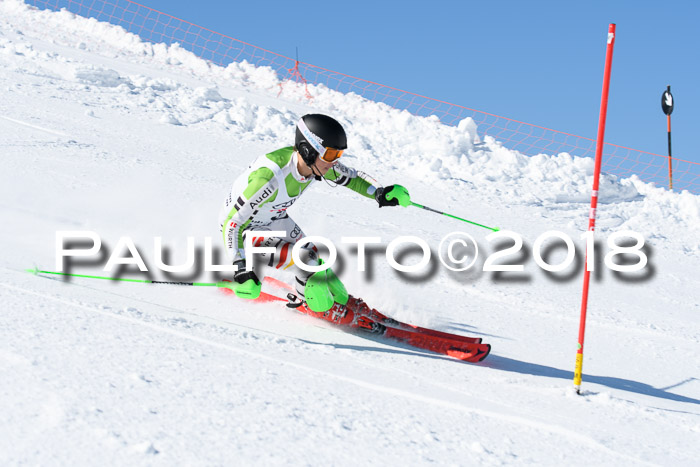 Int. Deutsche Meisterschaft Slalom 25.03.2018