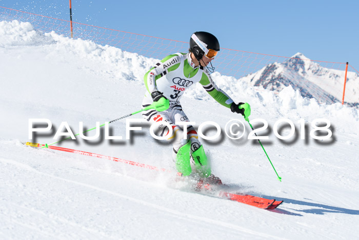 Int. Deutsche Meisterschaft Slalom 25.03.2018