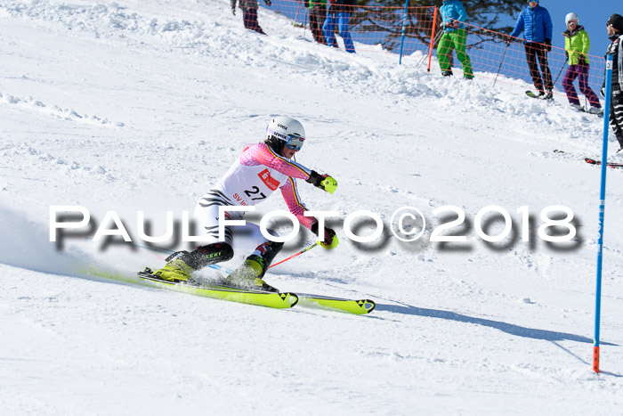 Int. Deutsche Meisterschaft Slalom 25.03.2018