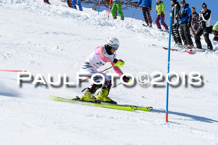 Int. Deutsche Meisterschaft Slalom 25.03.2018