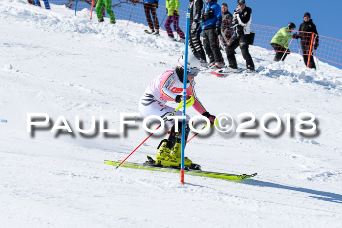 Int. Deutsche Meisterschaft Slalom 25.03.2018