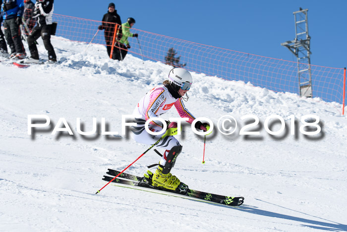 Int. Deutsche Meisterschaft Slalom 25.03.2018