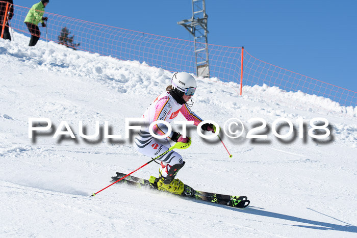 Int. Deutsche Meisterschaft Slalom 25.03.2018