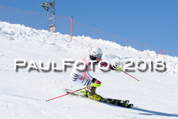 Int. Deutsche Meisterschaft Slalom 25.03.2018