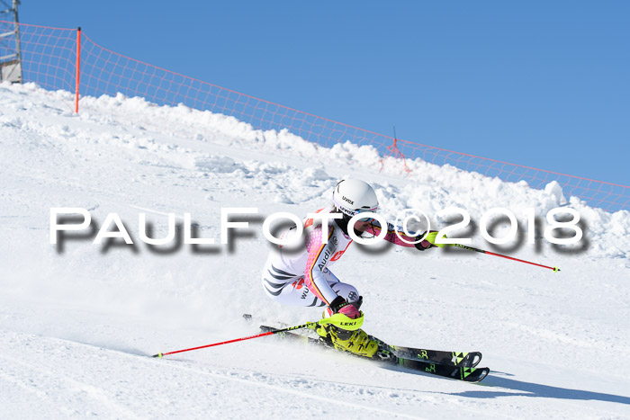 Int. Deutsche Meisterschaft Slalom 25.03.2018