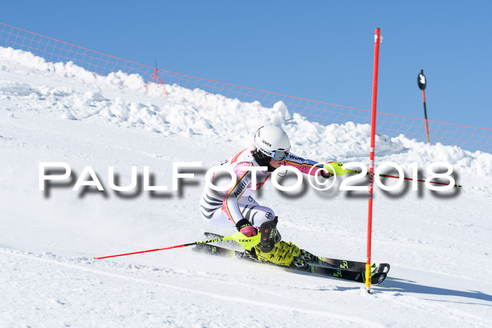 Int. Deutsche Meisterschaft Slalom 25.03.2018