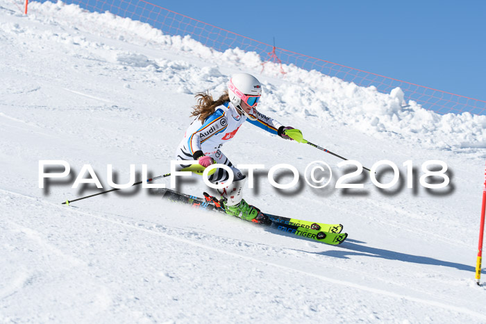 Int. Deutsche Meisterschaft Slalom 25.03.2018