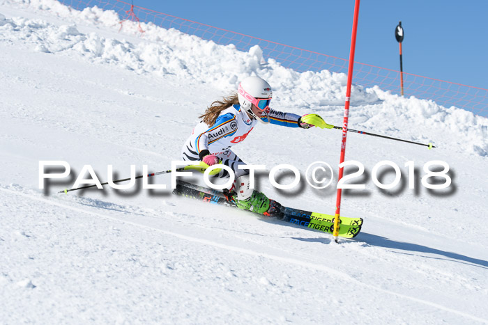 Int. Deutsche Meisterschaft Slalom 25.03.2018