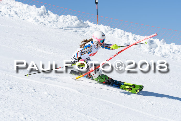 Int. Deutsche Meisterschaft Slalom 25.03.2018
