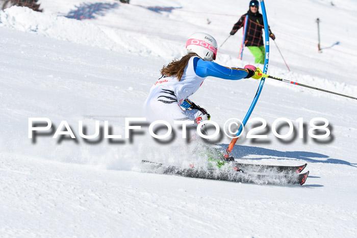 Int. Deutsche Meisterschaft Slalom 25.03.2018