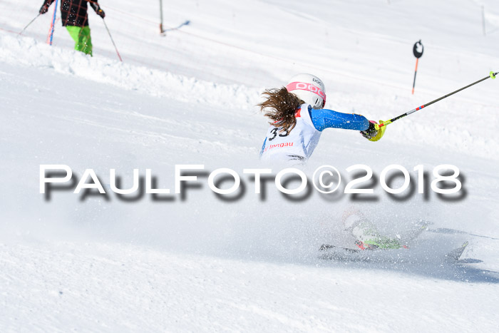 Int. Deutsche Meisterschaft Slalom 25.03.2018
