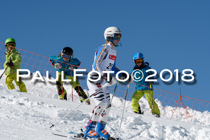 Int. Deutsche Meisterschaft Slalom 25.03.2018
