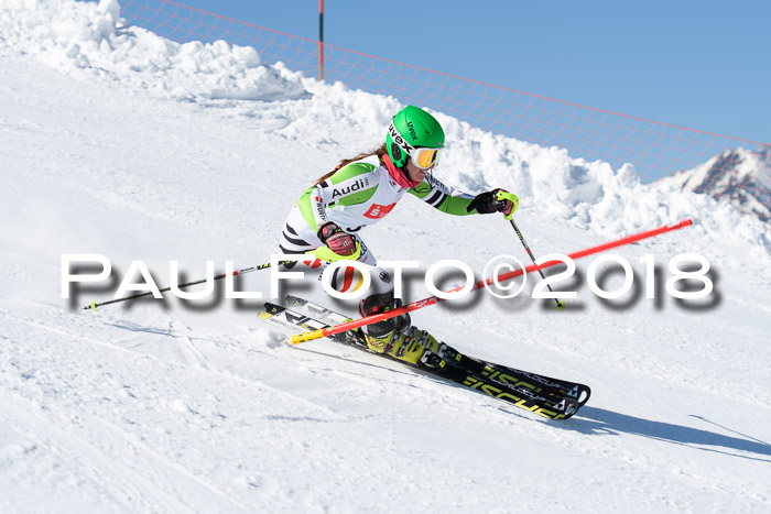 Int. Deutsche Meisterschaft Slalom 25.03.2018