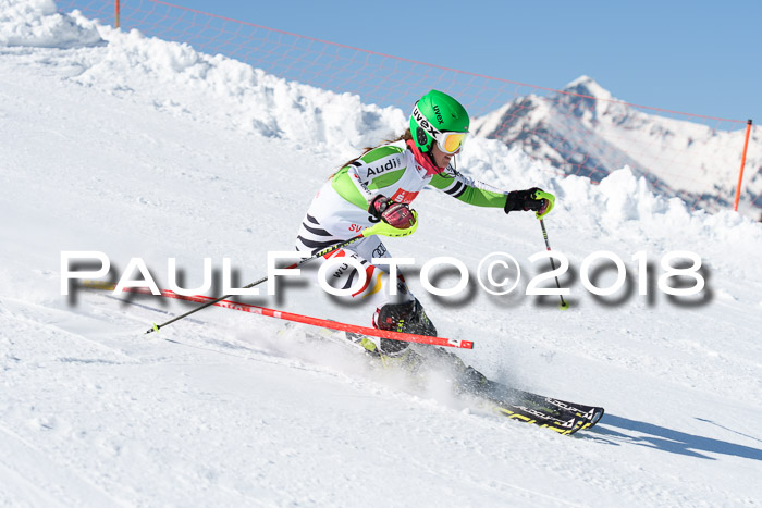 Int. Deutsche Meisterschaft Slalom 25.03.2018