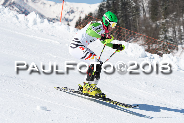 Int. Deutsche Meisterschaft Slalom 25.03.2018