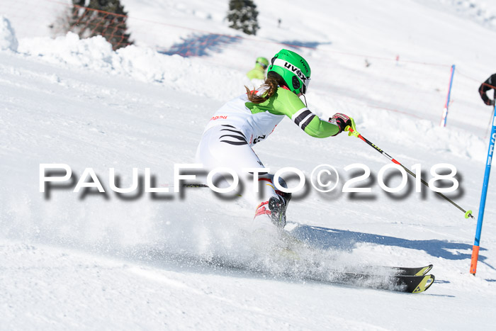 Int. Deutsche Meisterschaft Slalom 25.03.2018