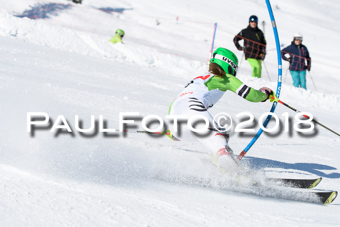 Int. Deutsche Meisterschaft Slalom 25.03.2018